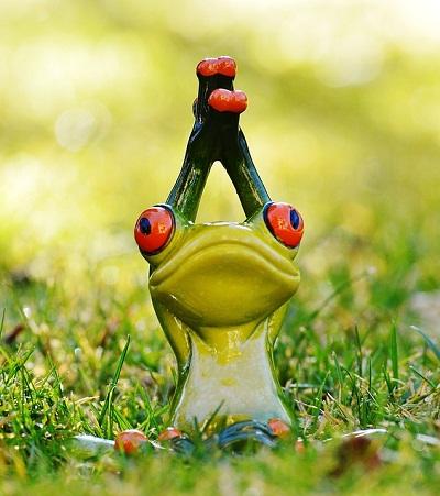 Béka a fűben nyujtózkodik